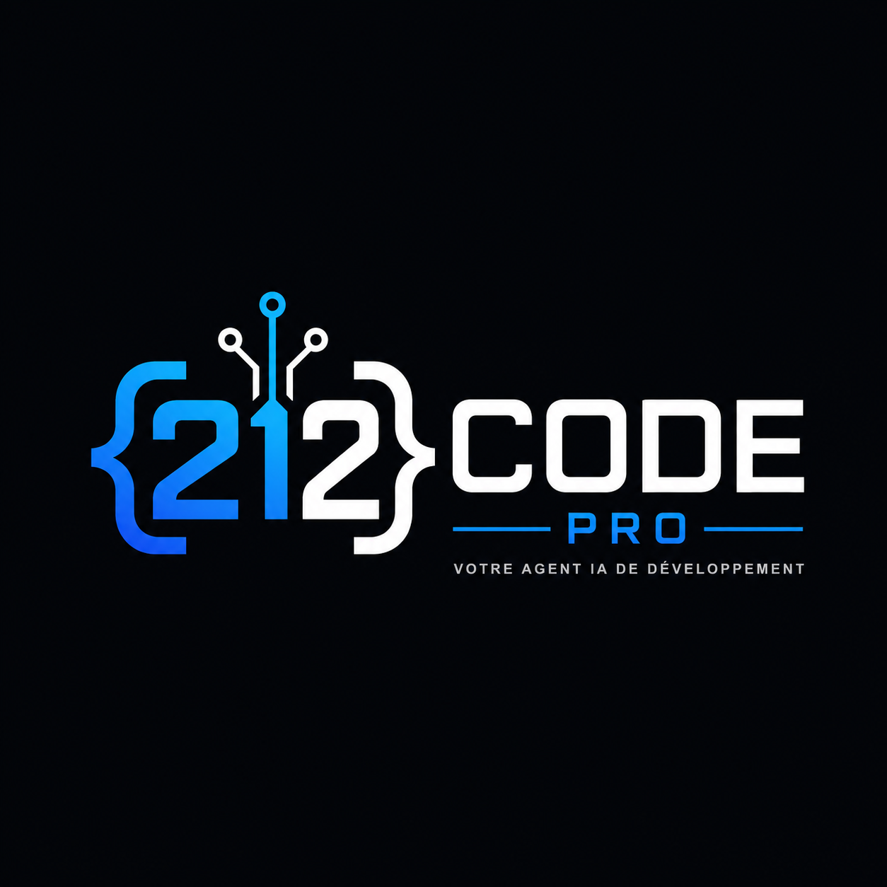 Logo 212Code